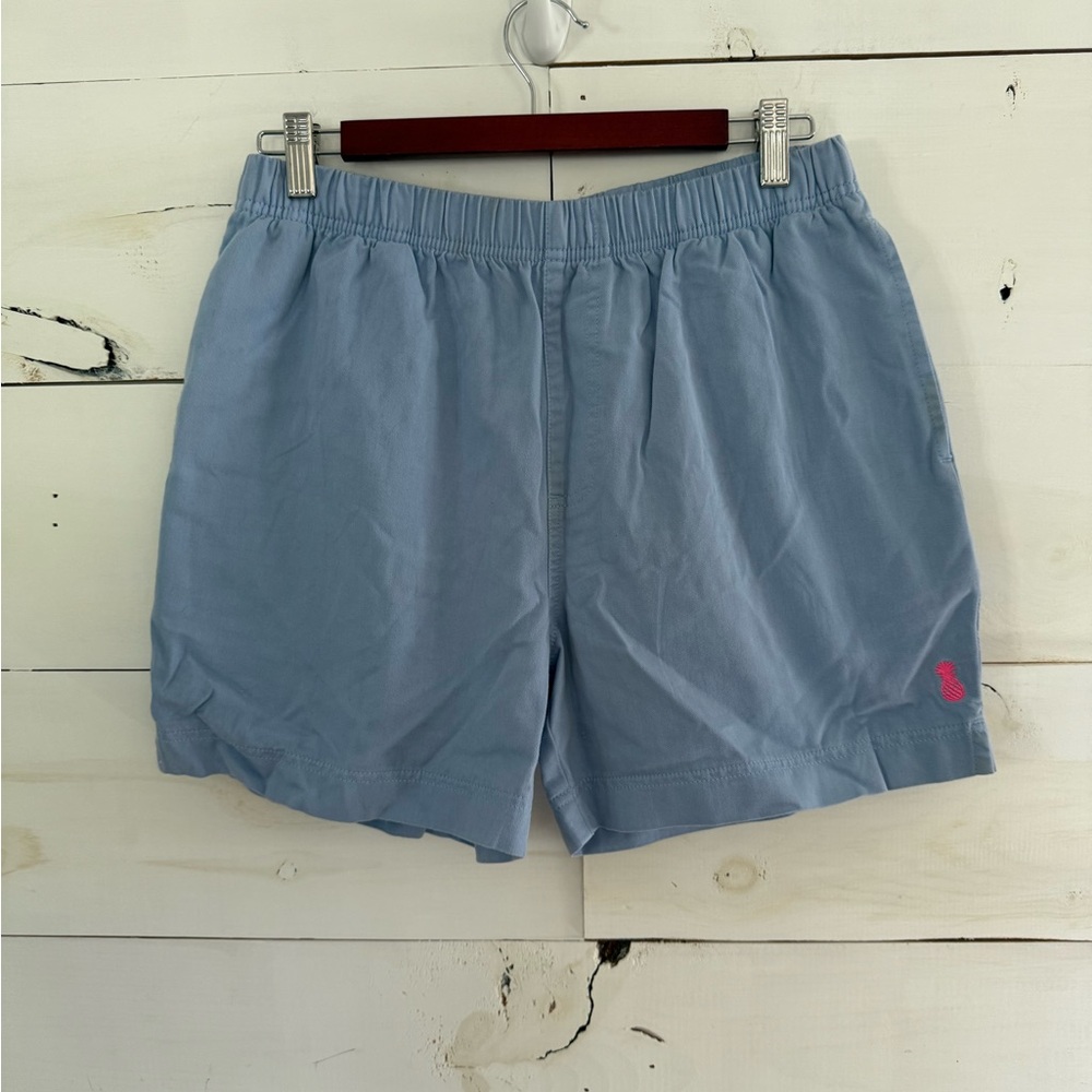 Chubbies Light Blue Hybrid Shorts